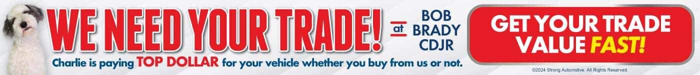 We need your trade!