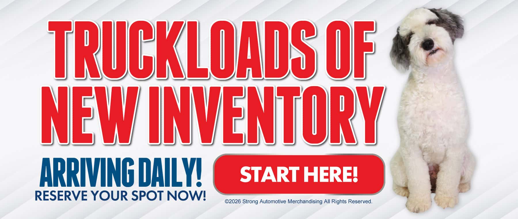 new inventory arriving daily
