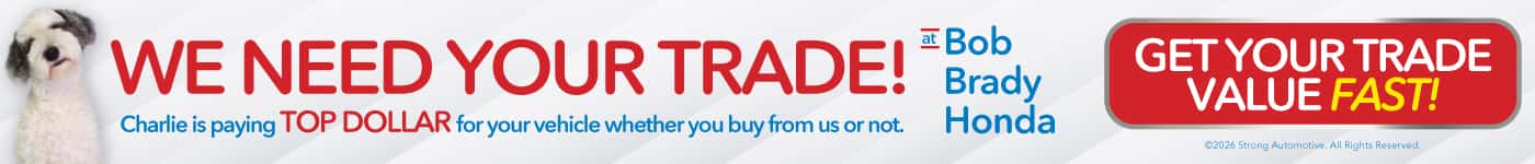 sell us your car