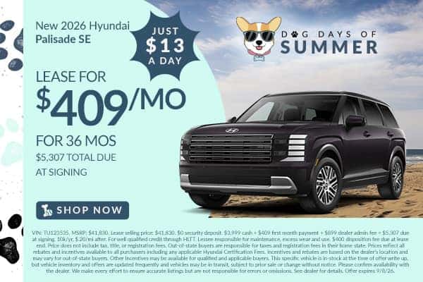 New 2026 Hyundai Palisade SE