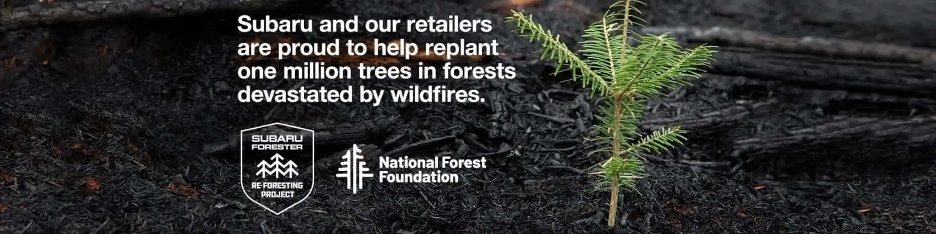 Subaru and our retailers are proud to replant one million trees in forests devastated by wildfires.