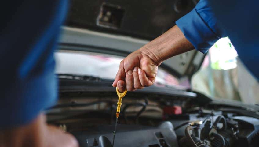 Service Specials
