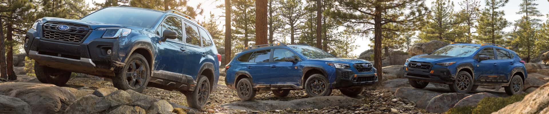 Subaru Dealership Serving Jacksonville, NC