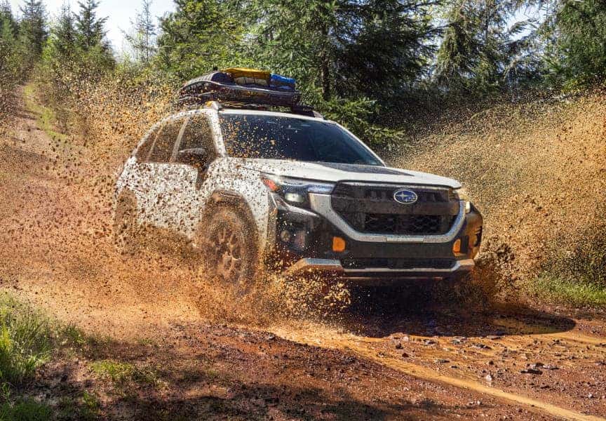 Subaru Forester Wilderness Lease