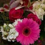 close up flower bouquet pink