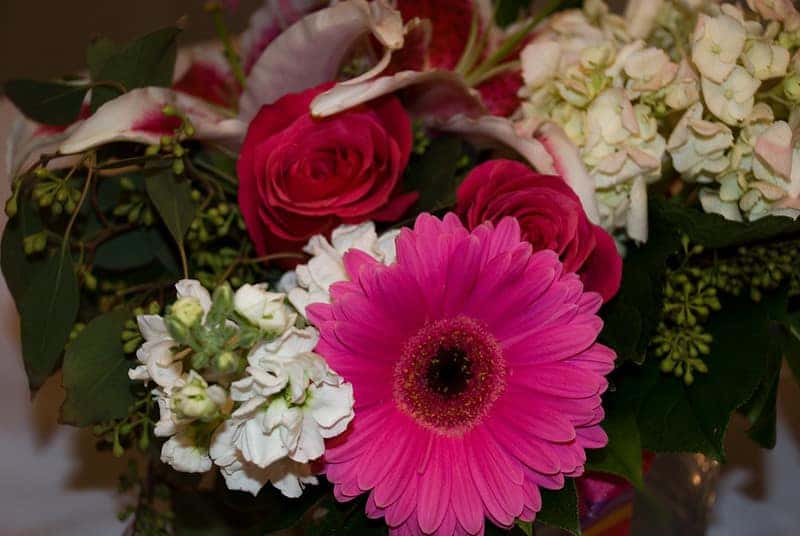 Best Flowers In Youngstown Ohio Best Flower Site