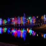 holiday neon lighted trees on a lake shore at night
