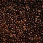 close up of coffee beans youngstown ohio