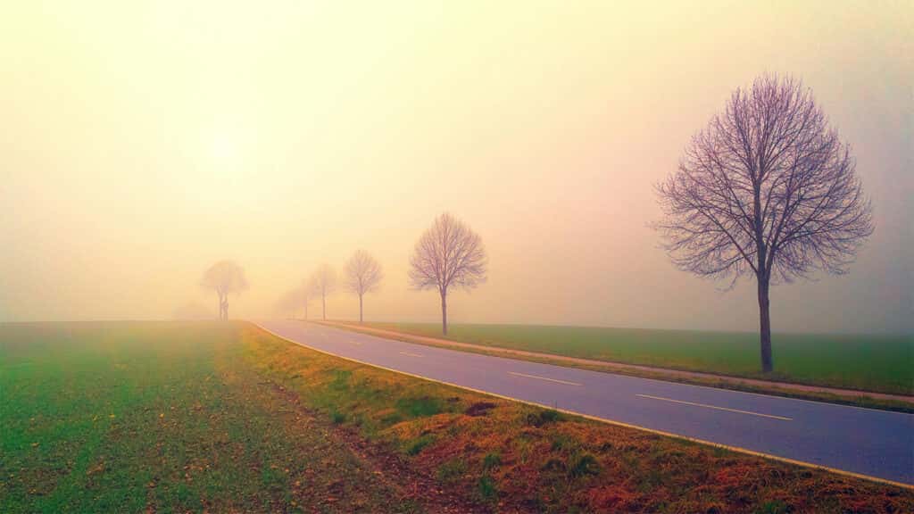 Quiet morning road in fog
