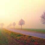 Quiet morning road in fog