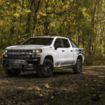 Chevrolet Silverado 1500 Crew Cab Custom [1CX] Trail Boss