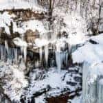 frozen ice on trees in winter