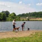 a man and woman walking dogs on the shore of a lake near Youngstown, Ohio