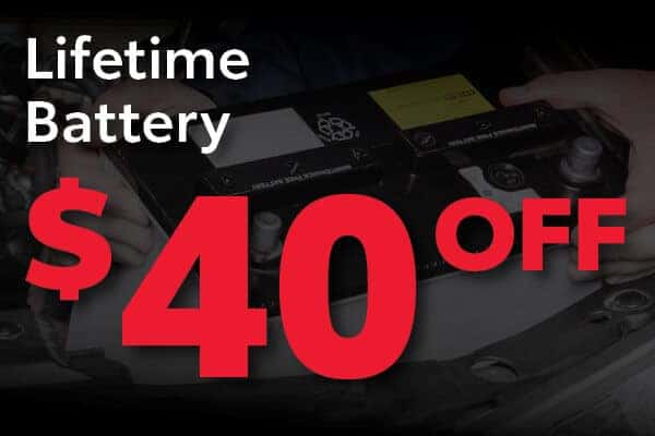 Lifetime Battery Special