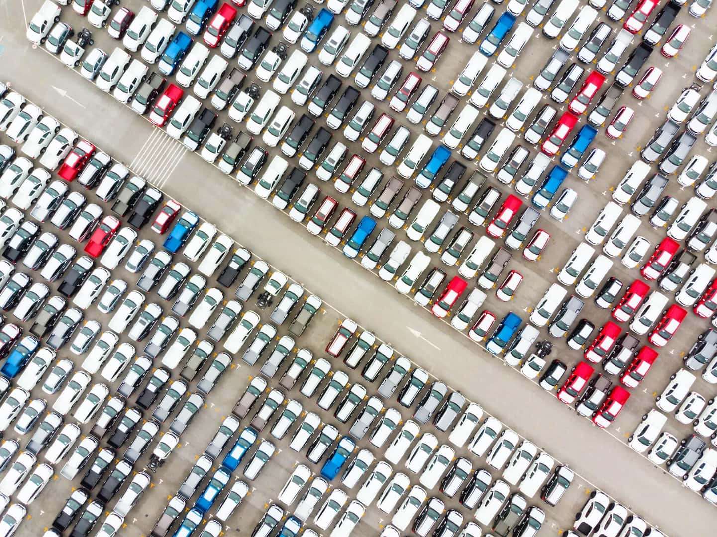 Used Car Dealer