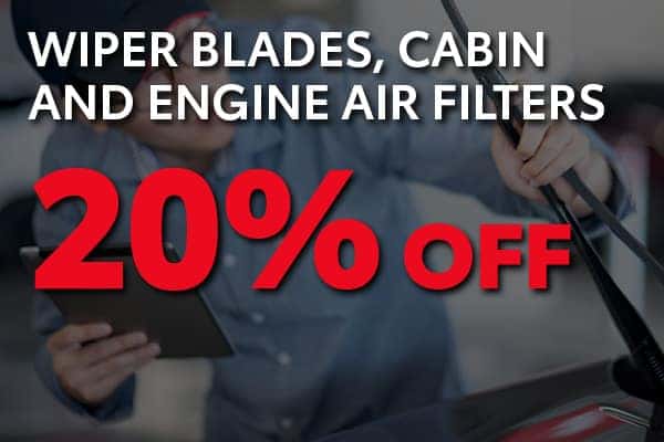20% Off Wiper Blades, Cabin and Engine Air Filters