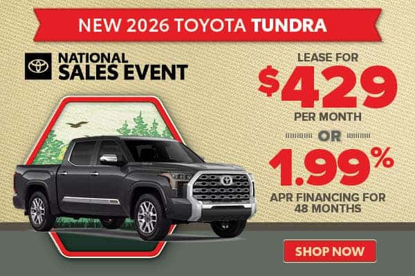 Tundra