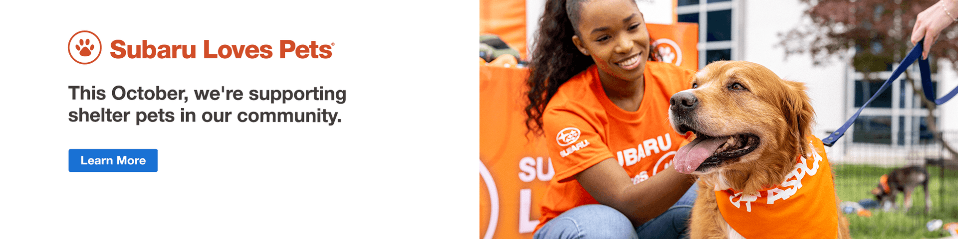 Subaru Loves Pets. Learn more to help shelter pets get adopted. Employee petting a dog.