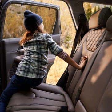 2022 Hyundai Santa-Fe Backseat