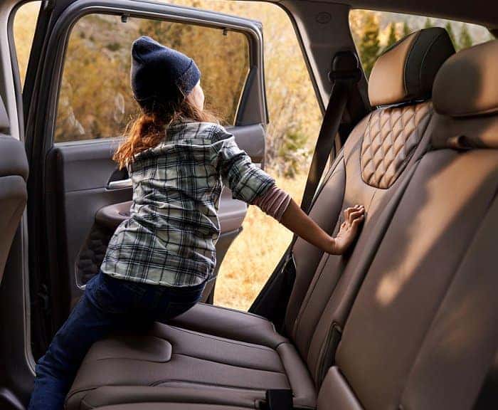 2022 Hyundai Santa-Fe Backseat