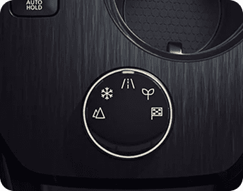 5 Drive Modes