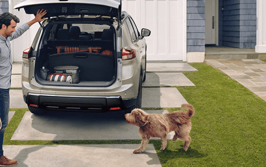 Rogue with rear hatch open as a dog approaches the open cargo area