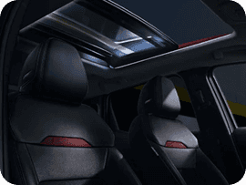Panoramic Illuminated Headliner