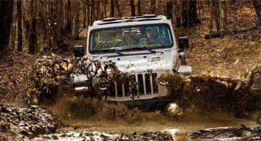 2021 Jeep Wrangler in St. Louis exterior