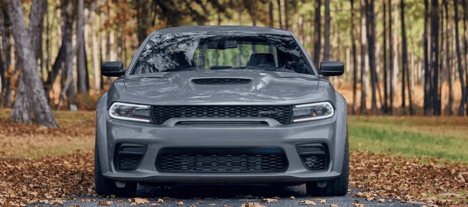 2023 Dodge Challenger in St. Louis | Lou Fusz Chrysler Jeep