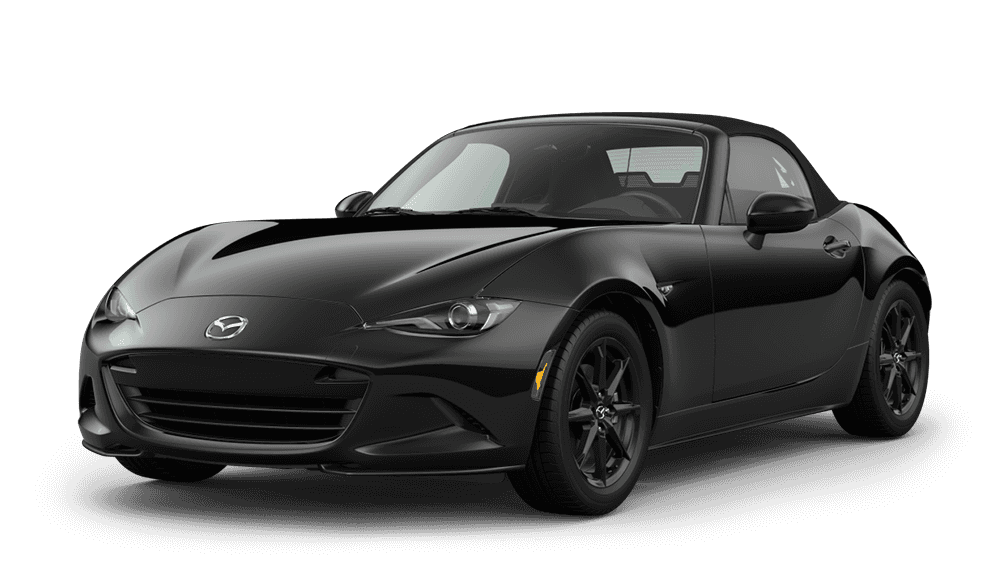 Car Trim Image