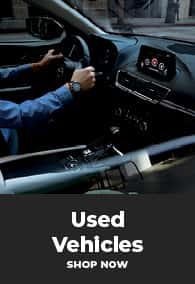 Steering wheel showing someone driving
