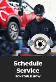 Schedule Service button featuring a mechanic holding a brake rotor.