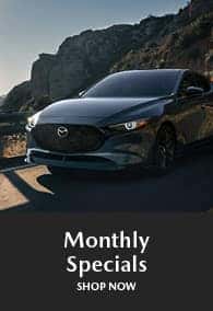monthly specials
