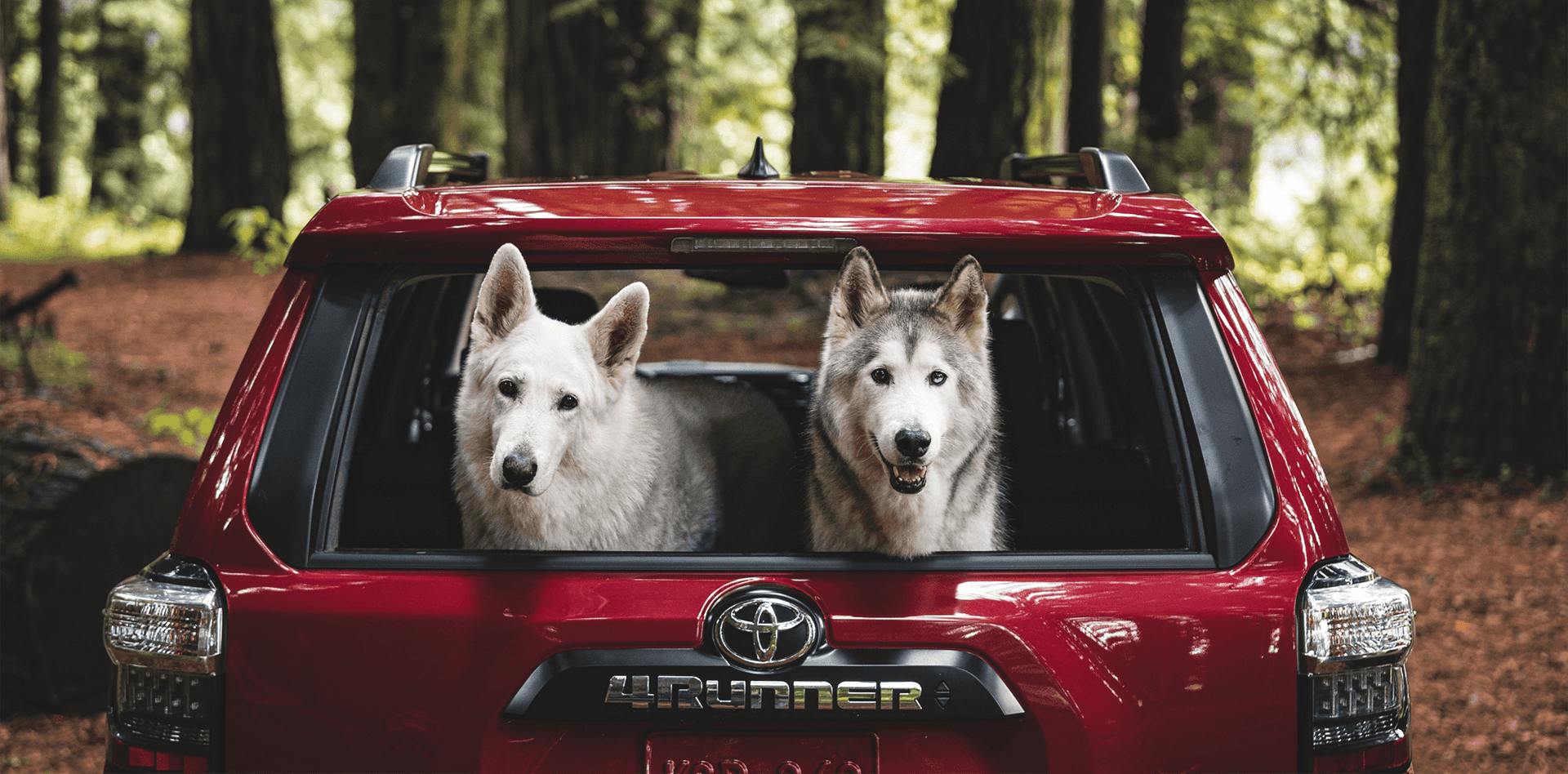 2021 Toyota 4Runner near St. Louis