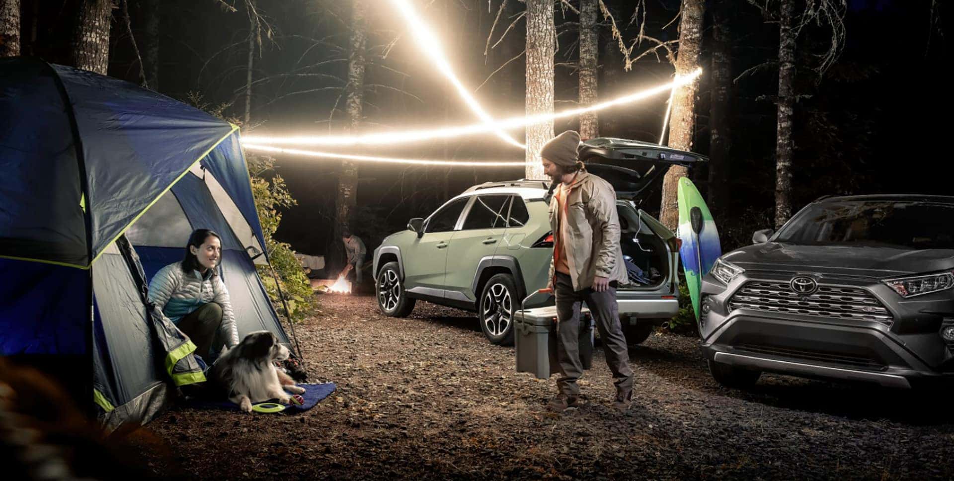 2021 Toyota RAV4 in St. Louis