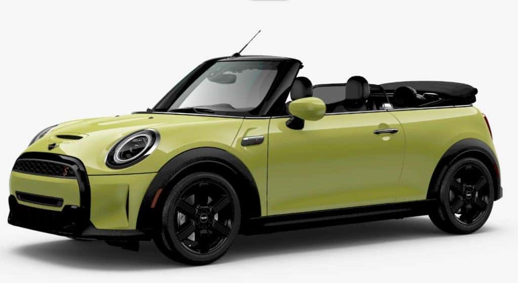 <strong>$479 Per Month</strong>