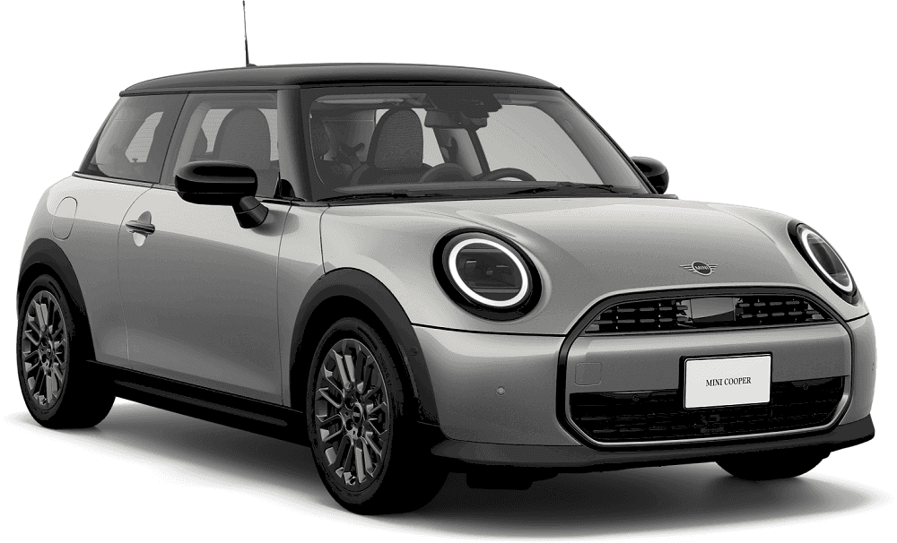 <strong>$319 Per Month</strong>
