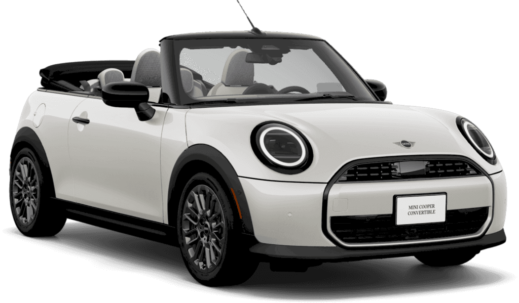 <strong>$449 Per Month</strong>
