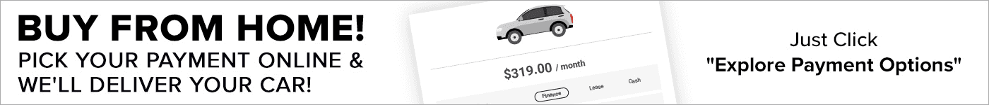 Online Shopper