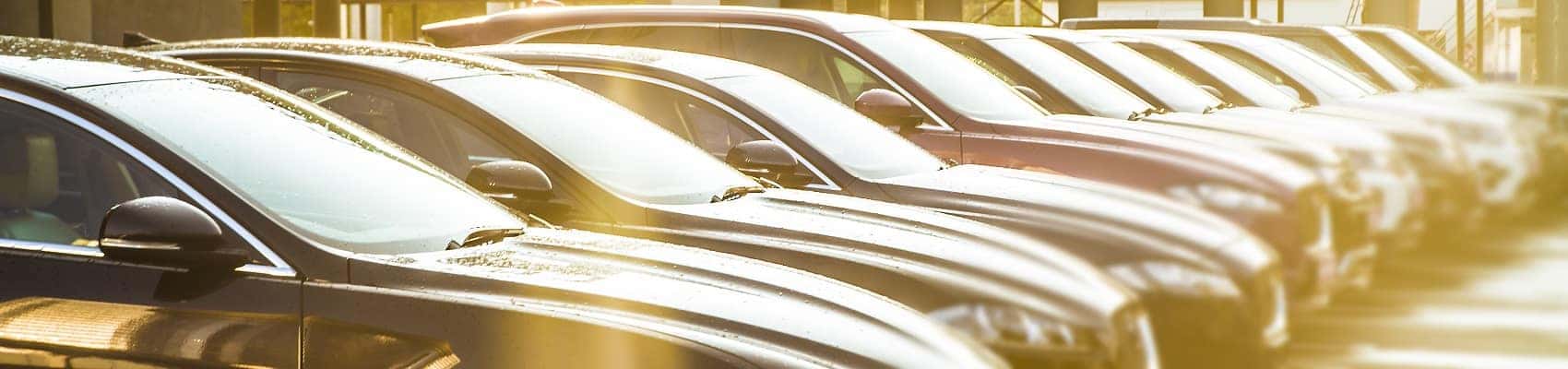 Car dealership lot