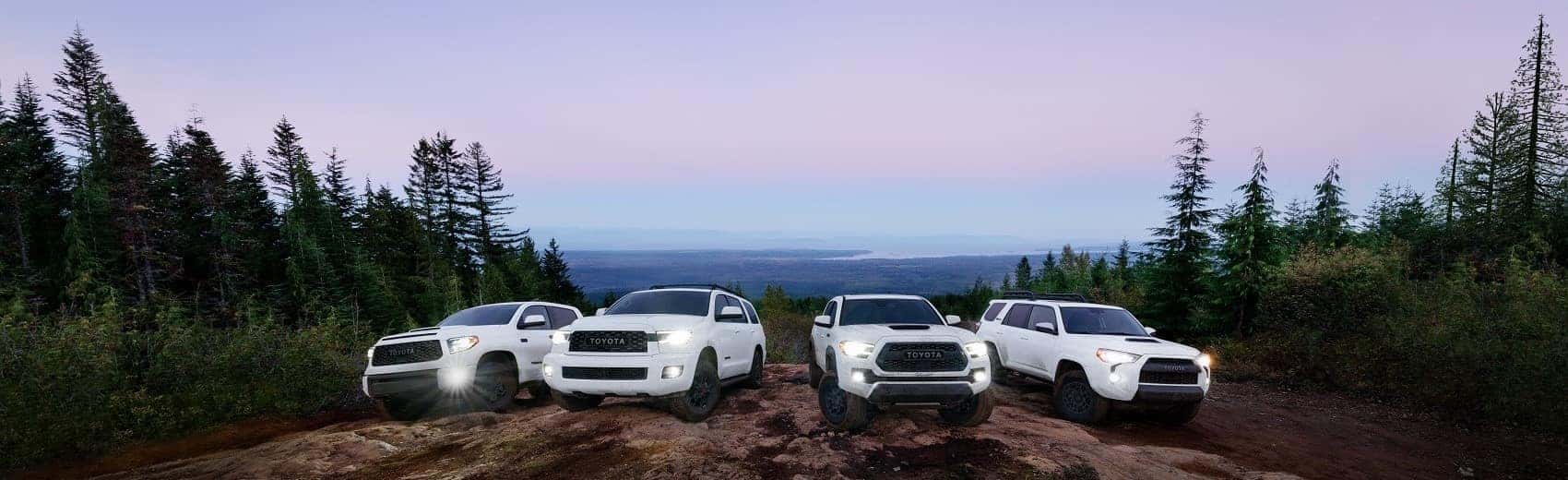 2021 Toyota lineup on a mountain banner