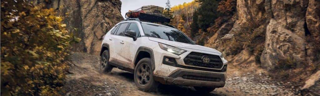 Toyota RAV4 Off Road 1 Snipped