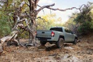 Toyota Tacoma
