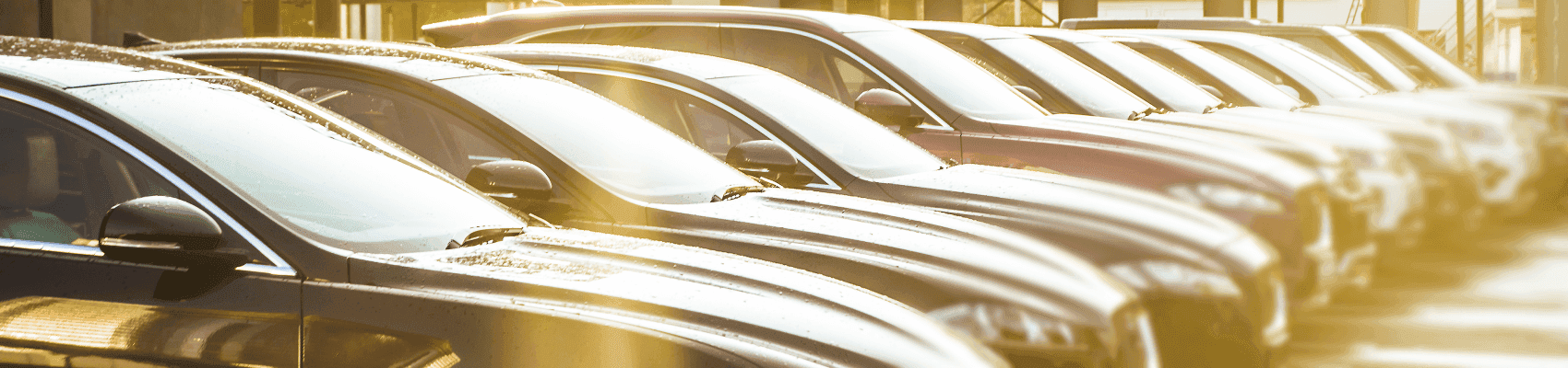 Used Car Buying Guide