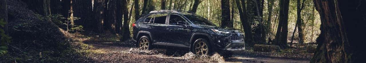 Sell or Trade Your Car