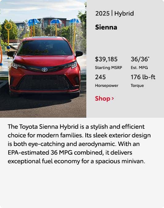 2025 Sienna Hybrid Model