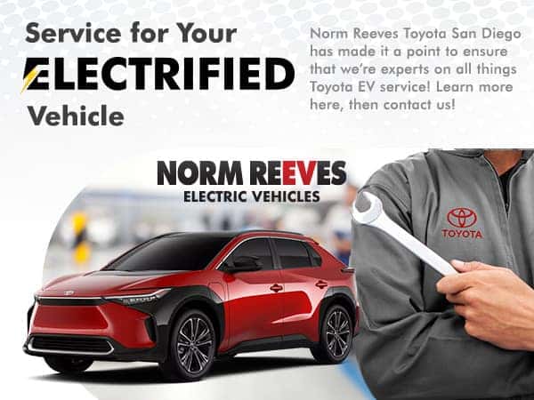 Service for Your Electrfied Vehicle