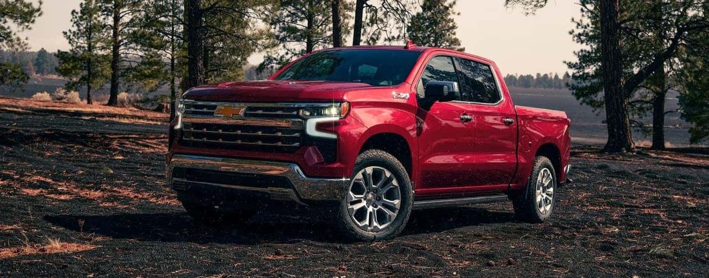 A red 2023 Chevy Silverado 1500 Z71 for sale near Belmont parked near a forest.