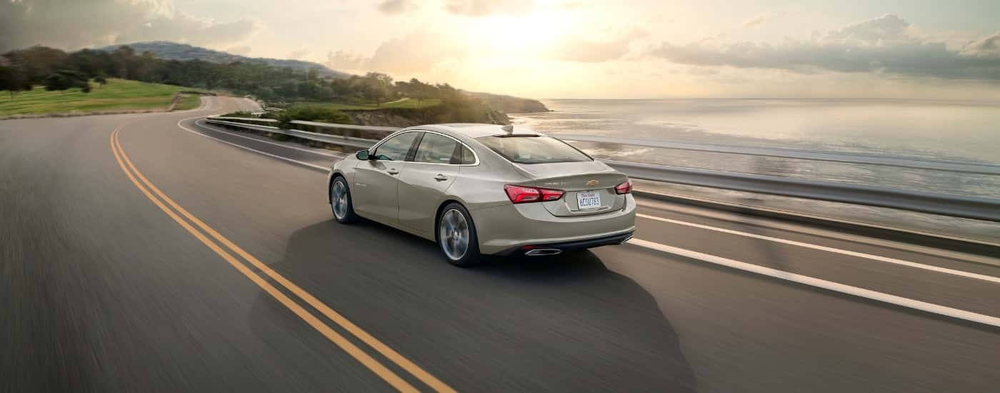 A tan 2024 Chevy Malibu from the rear.