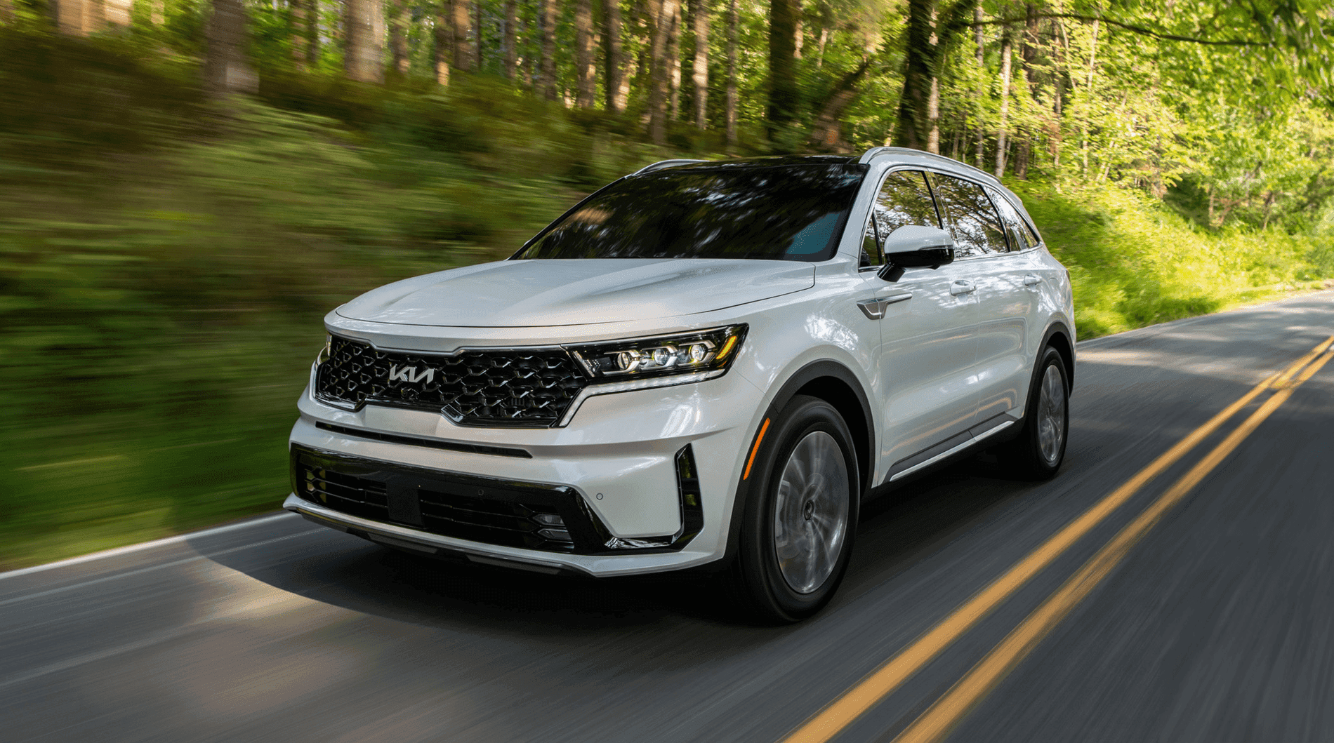 white 2024 Kia Sorento
